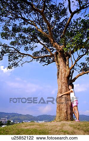 Little girl holding a tall tree View Large Photo Image Stock Image - Little girl holding a tall tree. Fotosearch
