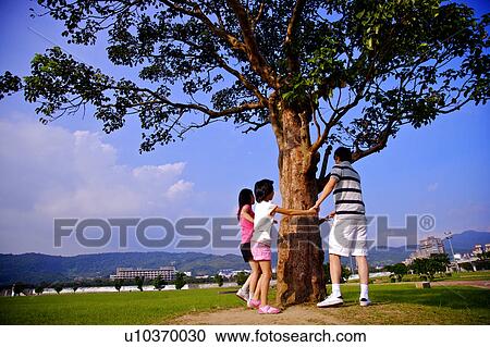 Young family with two children holding hands together around a tall tree View Large Photo Image Stock Image - Young family with two children holding hands together around a tall tree. Fotosearch
