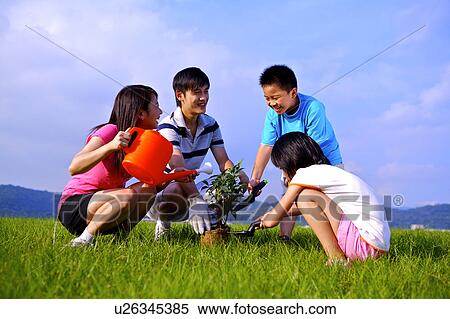 Young family with two children planting a small tree on the lawn together View Large Photo Image Stock Photography - Young family with two children planting a small tree on the lawn together. Fotosearch