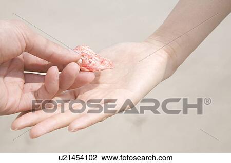 Stock Image - Hand handing a shell to lover. Fotosearch