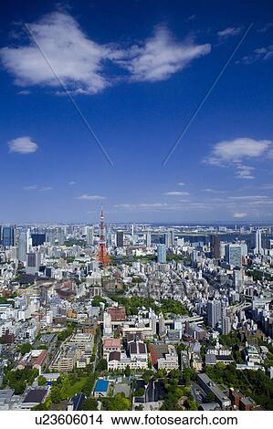 Tokyo tower View Large Photo Image Picture - Tokyo tower. Fotosearch