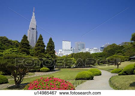 Shinjukugyoen View Large Photo Image Stock Photo - Shinjukugyoen. Fotosearch