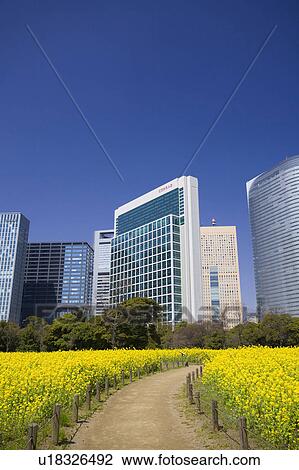 Stock Image - Shiodome high-rise buildings. Fotosearch