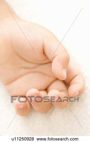 Baby's hand View Large Photo Image Stock Photo - Baby's hand. Fotosearch
