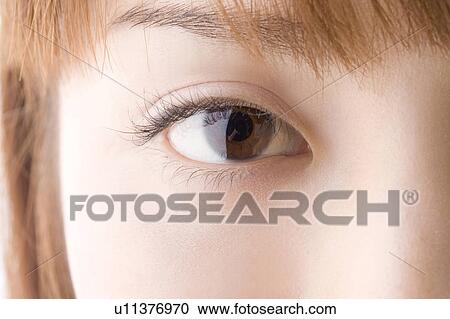 Stock Image - Jananese black eye. Fotosearch