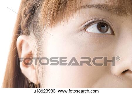 Stock Image - Jananese black eye. Fotosearch