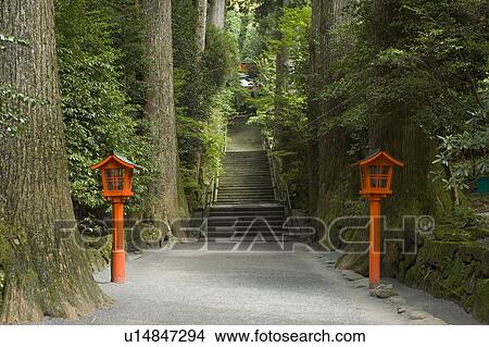 Picture - Hakone. Fotosearch