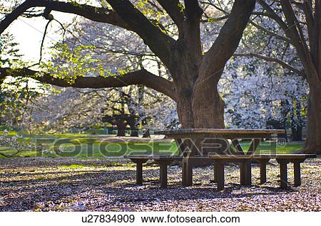 Bench View Large Photo Image Stock Photo - Bench. Fotosearch