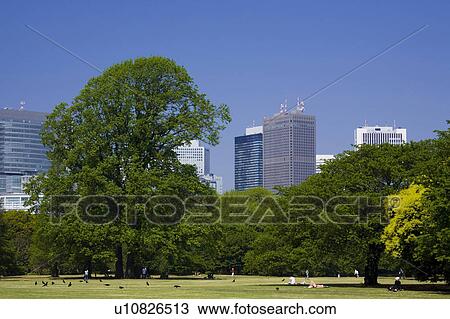 Stock Image - A park in the city. Fotosearch