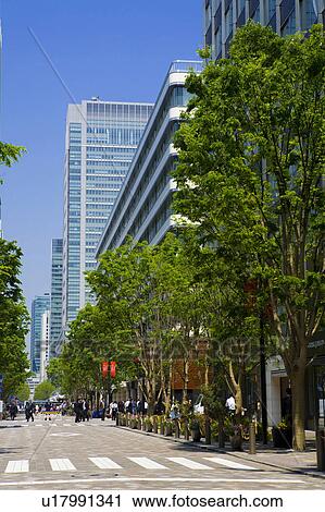 Stock Image - Marunouchi Nakadori. Fotosearch