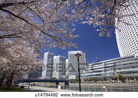 Stock Image - Minatomirai. Fotosearch