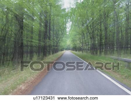 Stock Image - Blurred road through forest. Fotosearch
