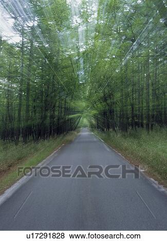 Blurred road through forest View Large Photo Image Stock Photo - Blurred road through forest. Fotosearch