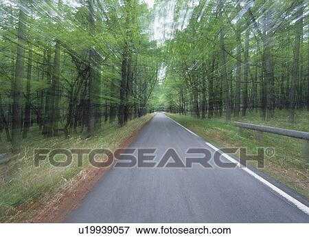 Blurred road through forest View Large Photo Image Stock Photo - Blurred road through forest. Fotosearch