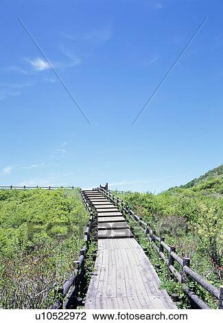 Stock Image - Boardwalk through grass. Fotosearch