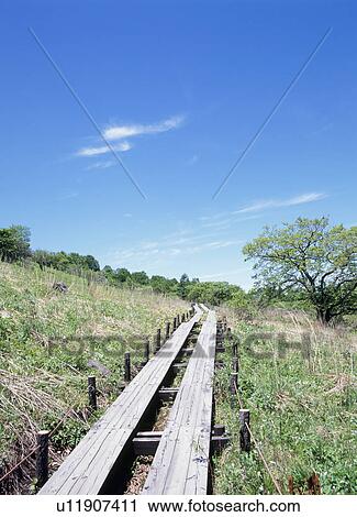 Stock Image - Boardwalk through grass. Fotosearch