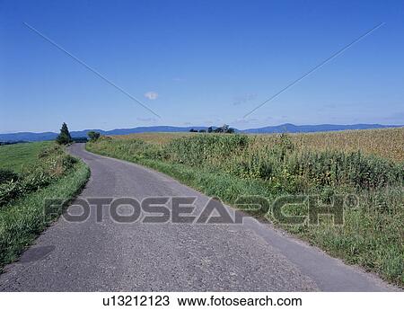 Gravel road and blue sky View Large Photo Image Stock Image - Gravel road and blue sky. Fotosearch