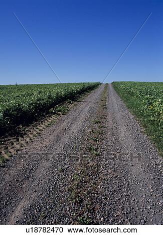 Gravel road and blue sky View Large Photo Image Stock Image - Gravel road and blue sky. Fotosearch