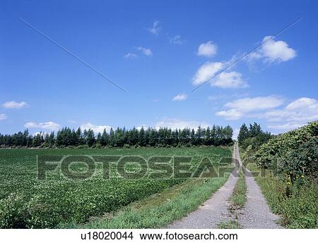 Gravel road and sky View Large Photo Image Picture - Gravel road and sky. Fotosearch