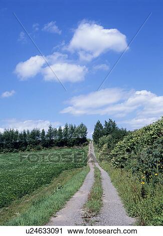 Stock Image - Gravel road and sky. Fotosearch