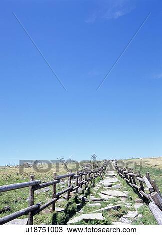 Stock Image - Path and blue sky. Fotosearch