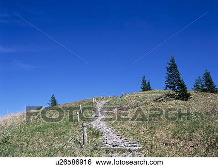 Stock Photograph - Path and blue sky. Fotosearch