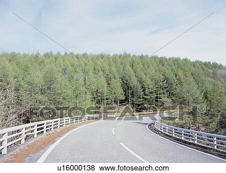 Right curve road through forest View Large Photo Image Stock Photo - Right curve road through forest. Fotosearch