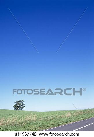 Stock Image - Road and blue sky. Fotosearch
