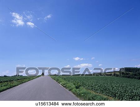 Picture - Road and sky. Fotosearch