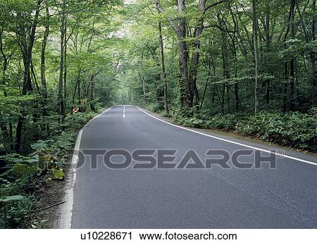 Road through forest View Large Photo Image Stock Image - Road through forest. Fotosearch