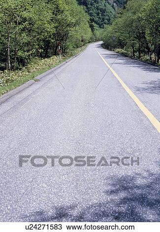 Stock Image - Road through forest. Fotosearch