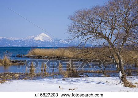 Stock Image - Biwa lake in winter. Fotosearch