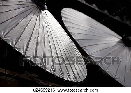 Coarse oilpaper umbrella with drops View Large Photo Image Stock Photograph - Coarse oilpaper umbrella with drops. Fotosearch