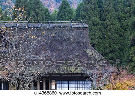Stock Image - Fork dwelling in Kyoto. Fotosearch