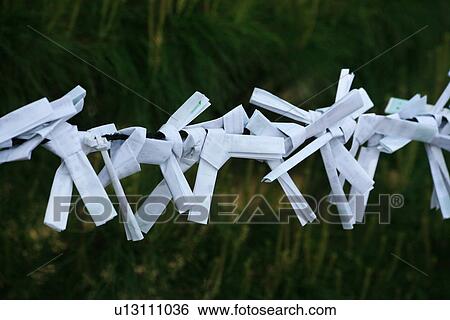 Fortune papers tied with string in Kyoto View Large Photo Image Stock Photograph - Fortune papers tied with string in Kyoto. Fotosearch