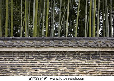 Mud wall behinds bamboo grove View Large Photo Image Stock Image - Mud wall behinds bamboo grove. Fotosearch