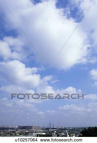 Picture - Humilis and stratocumulus clouds. Fotosearch