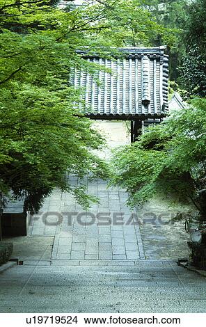 Picture - Fresh green and gate. Fotosearch