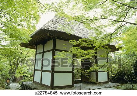 Stock Photography - Fresh green and gate. Fotosearch