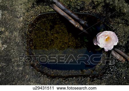 Hands-washing basin View Large Photo Image Stock Image - Hands-washing basin. Fotosearch