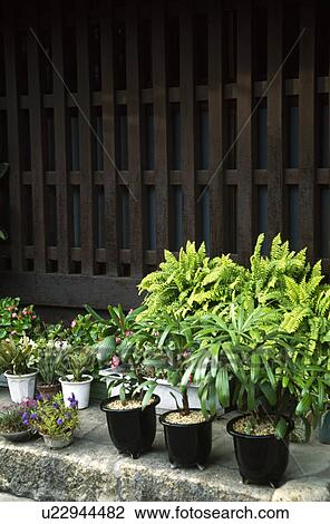 Japanese house and flowerpot View Large Photo Image Stock Image - Japanese house and flowerpot. Fotosearch