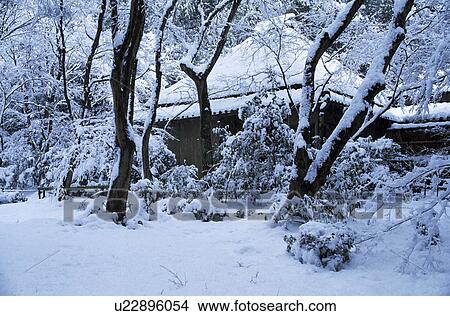 Snowscape View Large Photo Image Picture - Snowscape. Fotosearch