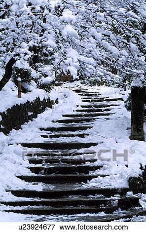 Snowscape View Large Photo Image Stock Photo - Snowscape. Fotosearch