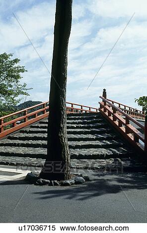 Steps and tree View Large Photo Image Stock Photography - Steps and tree. Fotosearch