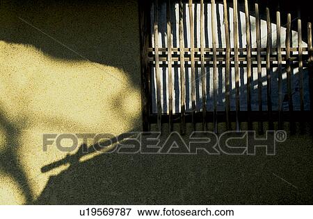 Stock Photo - Sunshine in Autumn. Fotosearch