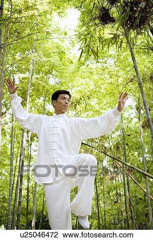 Stock Image - Man practicing Tai Chi amongst trees, portrait. Fotosearch