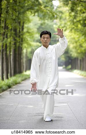 Mature man practicing Tai Chi on treelined footpath View Large Photo Image Stock Photography - Mature man practicing Tai Chi on treelined footpath. Fotosearch