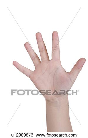 Close up of child's palm View Large Photo Image Stock Image - Close up of child's palm. Fotosearch