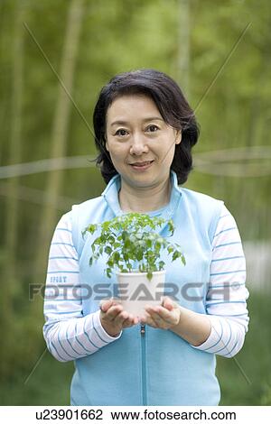Stock Image - Senior woman holding potted plant outdoors. Fotosearch