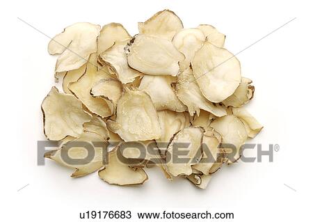 Aconiti Tubers against white background View Large Photo Image Stock Image - Aconiti Tubers against white background. Fotosearch